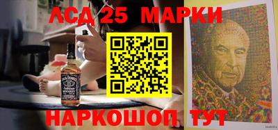 стаф Донской