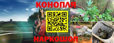 стаф Донской