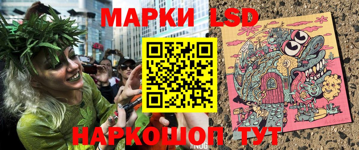 Галлюциногенные грибы Канаш