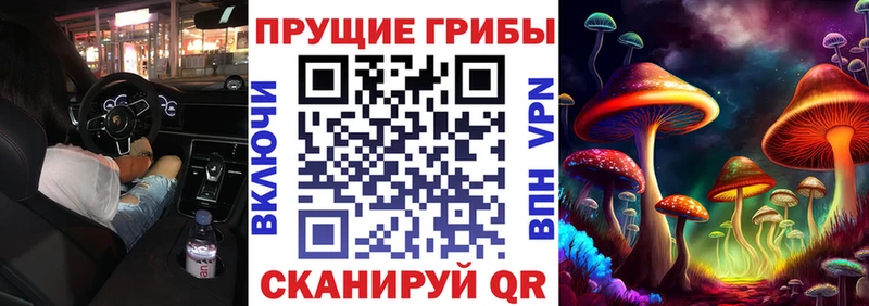 Псилоцибиновые грибы мухоморы  где продают   blacksprut ССЫЛКА  Канаш 
