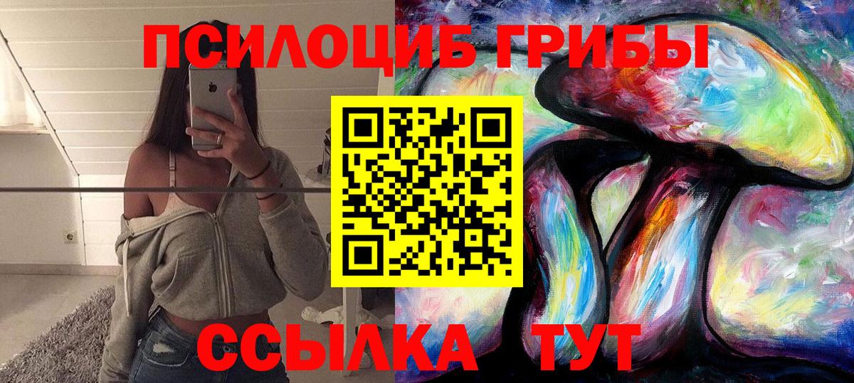 Псилоцибиновые грибы Cubensis  Вход с VPN  Галлюциногенные грибы Cubensis  Канаш 