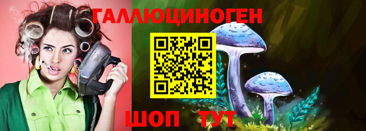 Псилоцибиновые грибы Psilocybine cubensis  Галлюциногенные грибы Psilocybine cubensis  Канаш 