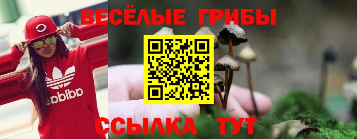 Галлюциногенные грибы GOLDEN TEACHER Канаш